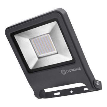 Ledvance - LED Flood light ENDURA LED/50W/230V IP65