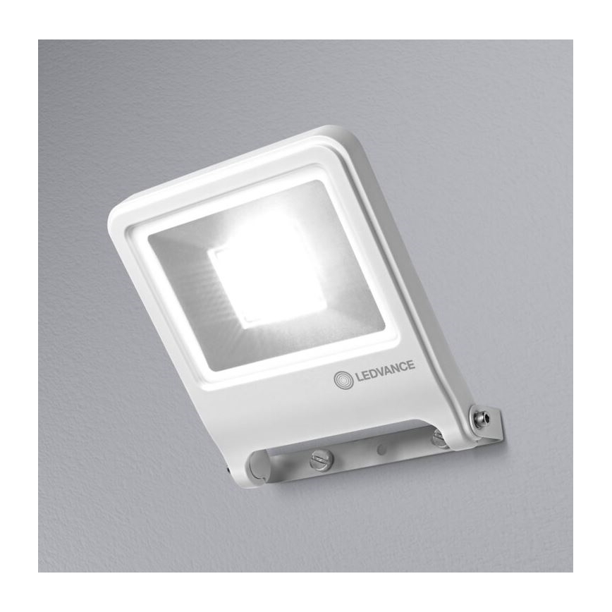 Ledvance - LED Flood light ENDURA LED/50W/230V IP65