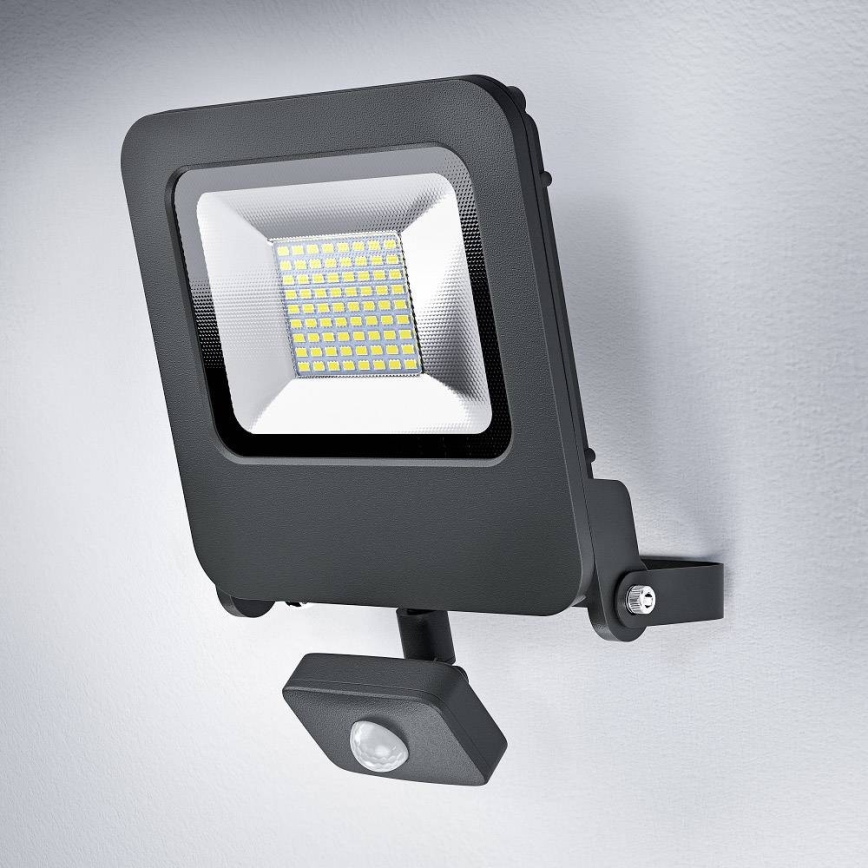 Ledvance - LED Flood light with a sensor ENDURA LED/50W/230V IP44