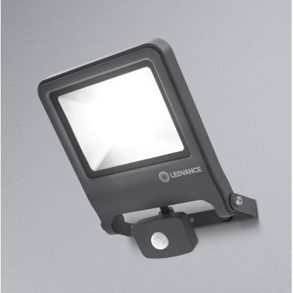 Ledvance - LED Flood light with a sensor ENDURA LED/50W/230V IP44