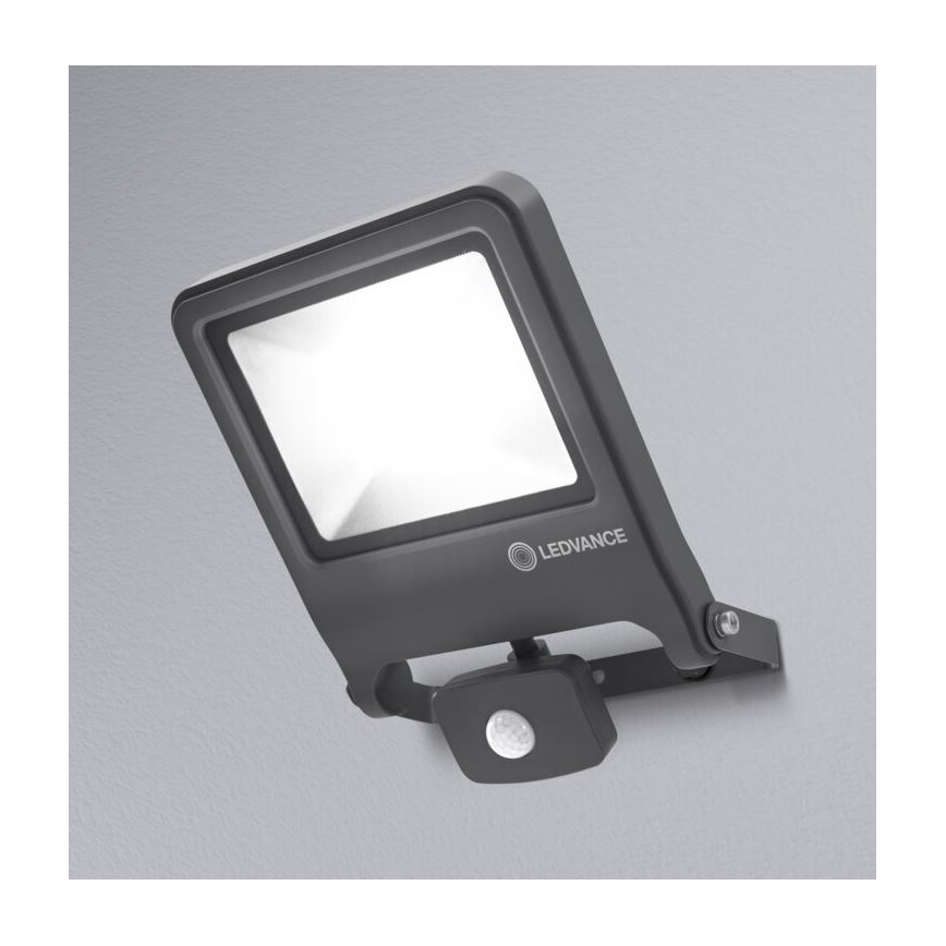 Ledvance - LED Flood light with a sensor ENDURA LED/50W/230V IP44