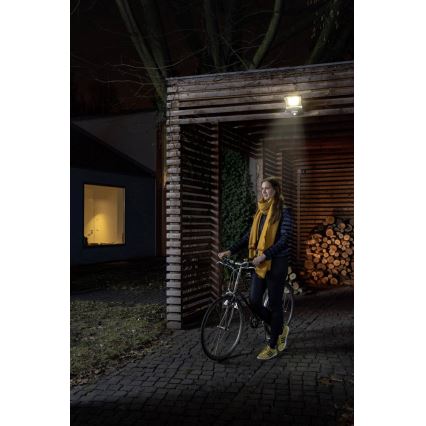 Ledvance - LED Flood light with a sensor ENDURA LED/50W/230V IP44