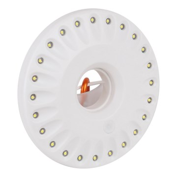 Ledvance - LED Light FLASHLIGHT CAMP LED/1,2W/3xAAA