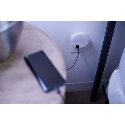 Ledvance - LED Night light into a socket with sensor LUNETTA 2xUSB LED/13W/230V