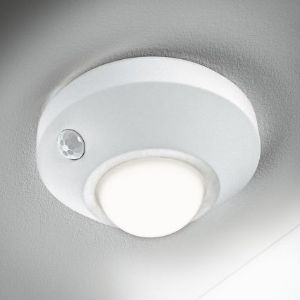 Ledvance - LED Orientation light with sensor NIGHTLUX LED/1,7W/3xAA 4000K