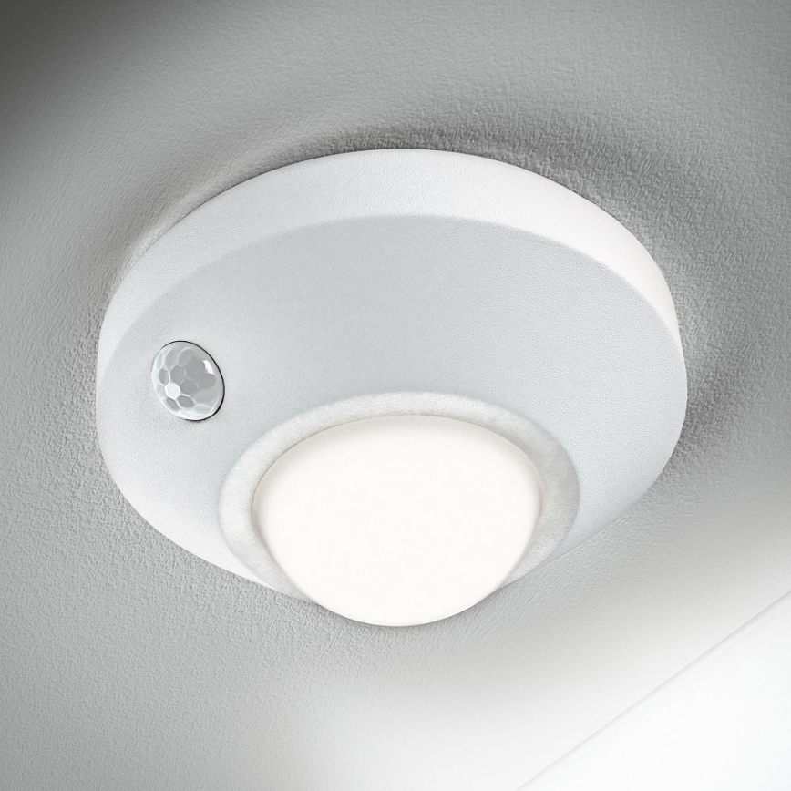 Ledvance - LED Orientation light with sensor NIGHTLUX LED/1,7W/3xAA 4000K