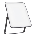 Ledvance - LED Outdoor wall floodlight FLOODLIGHT ESSENTIAL LED/30W/230V 4000K IP65
