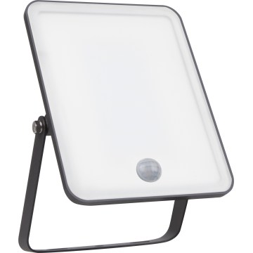 Ledvance - LED Outdoor Wall Floodlight with Motion and Dusk Sensor FLOODLIGHT LED/30W/230V IP65
