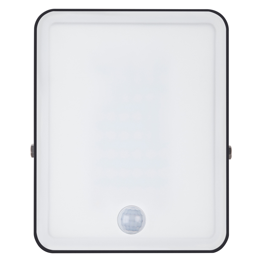 Ledvance - LED Outdoor Wall Floodlight with Motion and Dusk Sensor FLOODLIGHT LED/30W/230V IP65