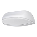 Ledvance - LED Outdoor wall light ENDURA LED/12W/230V IP44