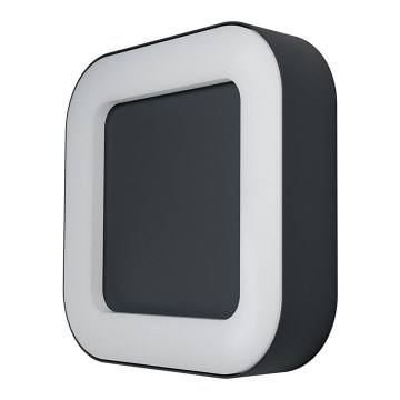 Ledvance - LED Outdoor wall light ENDURA LED/13W/230V IP44