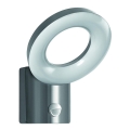 Ledvance - LED Outdoor wall light with a sensor LOOP 1xLED/12W/230V IP44