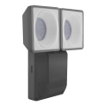 Ledvance - LED Outdoor wall light with a sensor SPOT 2xLED/8W/230V IP55