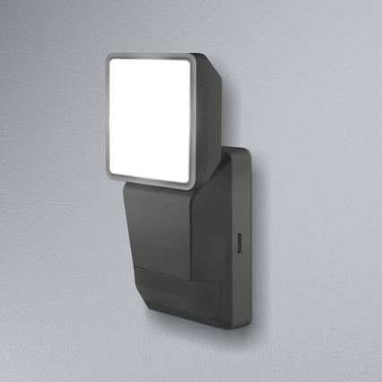 Ledvance -LED Outdoor wall light with a sensor  SPOT LED/8W/230V IP55 black
