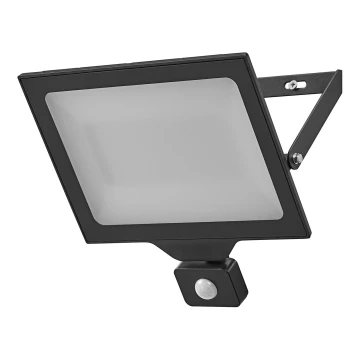 Ledvance - LED outdoor wall-mounted floodlight with sensor FLOODLIGHT ESSENTIAL LED/100W/230V IP44