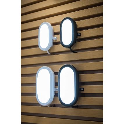 Ledvance - LED Outdoor walll light BULKHEAD LED/11W/230V IP54 black