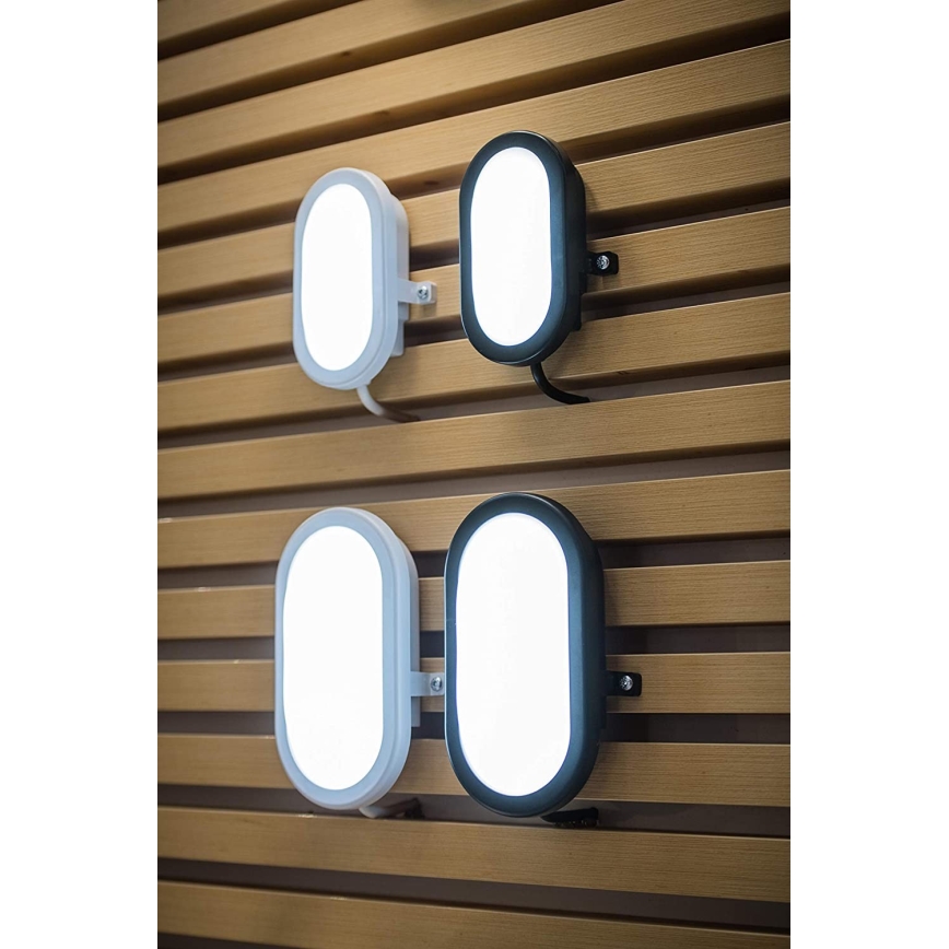 Ledvance - LED Outdoor walll light BULKHEAD LED/11W/230V IP54 black
