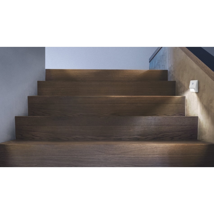 Ledvance - LED Staircase light with a sensor NIGHTLUX LED/0.25W/3xAAA IP54