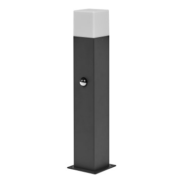 Ledvance - Outdoor lamp with sensor FIGO SQUARE 1xE27/20W/230V IP44