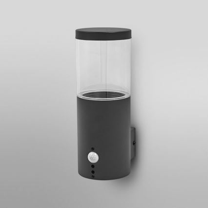 Ledvance - Outdoor wall light with a sensor EBRO 1xE27/20W/230V IP44