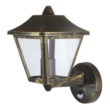 Ledvance - Outdoor wall light with a sensor ENDURA 1xE27/60W/230V IP44