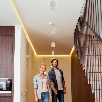 Ledvance - Spotlight TUBA 1xGU10/50W/230V