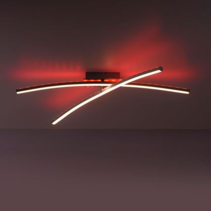 Leuchten Direkt 11255-55 - LED RGB Dimmable surface-mounted chandelier ALINA 2xLED/8,1W/230V 2700-5000K + remote control