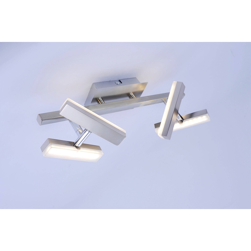 Leuchten Direkt 11277-55 - LED Spotlight RICO 4xLED/2W/230V