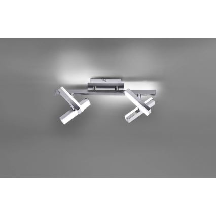 Leuchten Direkt 11277-55 - LED Spotlight RICO 4xLED/2W/230V