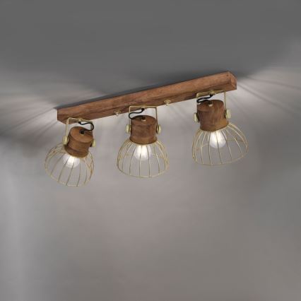 Leuchten Direkt 11488-60 - Spotlight ALAMI 3xE27/25W/230V mango tree