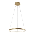 Leuchten Direkt 11522-12 - LED Chandelier on a string CIRCLE LED/19W/230V