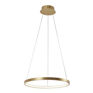 Leuchten Direkt 11522-12 - LED Chandelier on a string CIRCLE LED/19W/230V