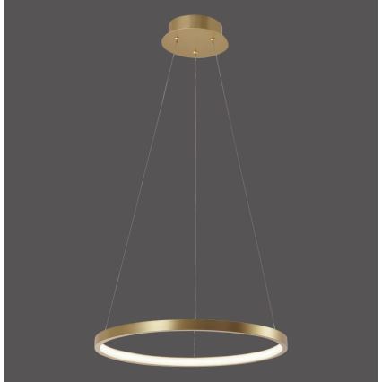 Leuchten Direkt 11522-12 - LED Chandelier on a string CIRCLE LED/19W/230V