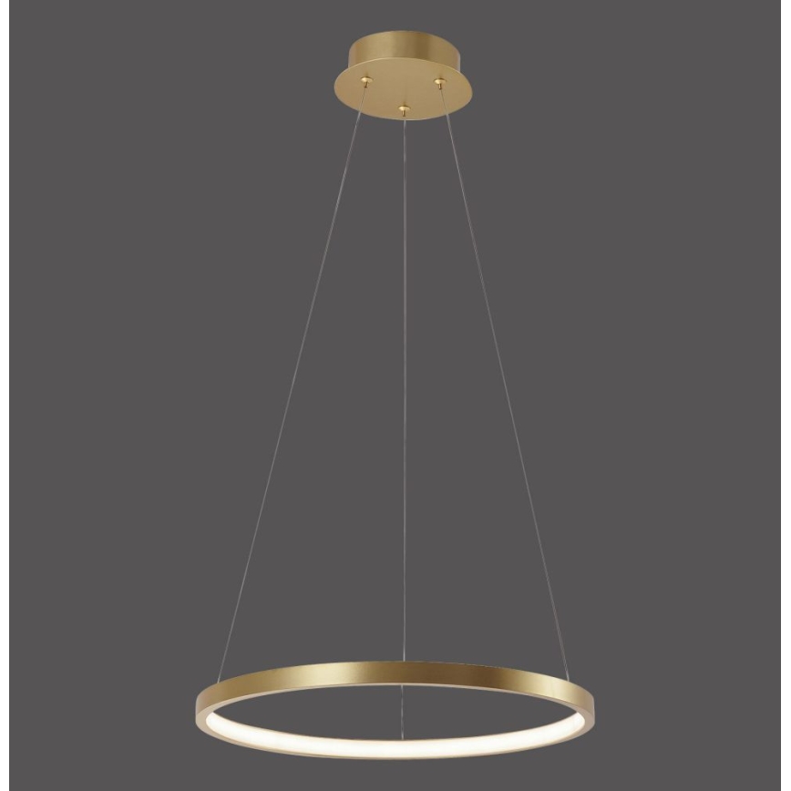 Leuchten Direkt 11522-12 - LED Chandelier on a string CIRCLE LED/19W/230V