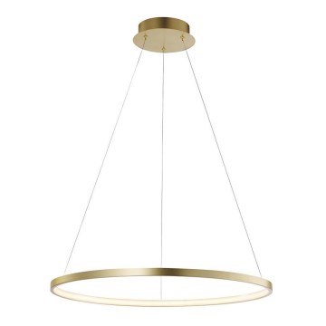Leuchten Direkt 11524-12 - LED Chandelier on a string CIRCLE LED/28,5W/230V
