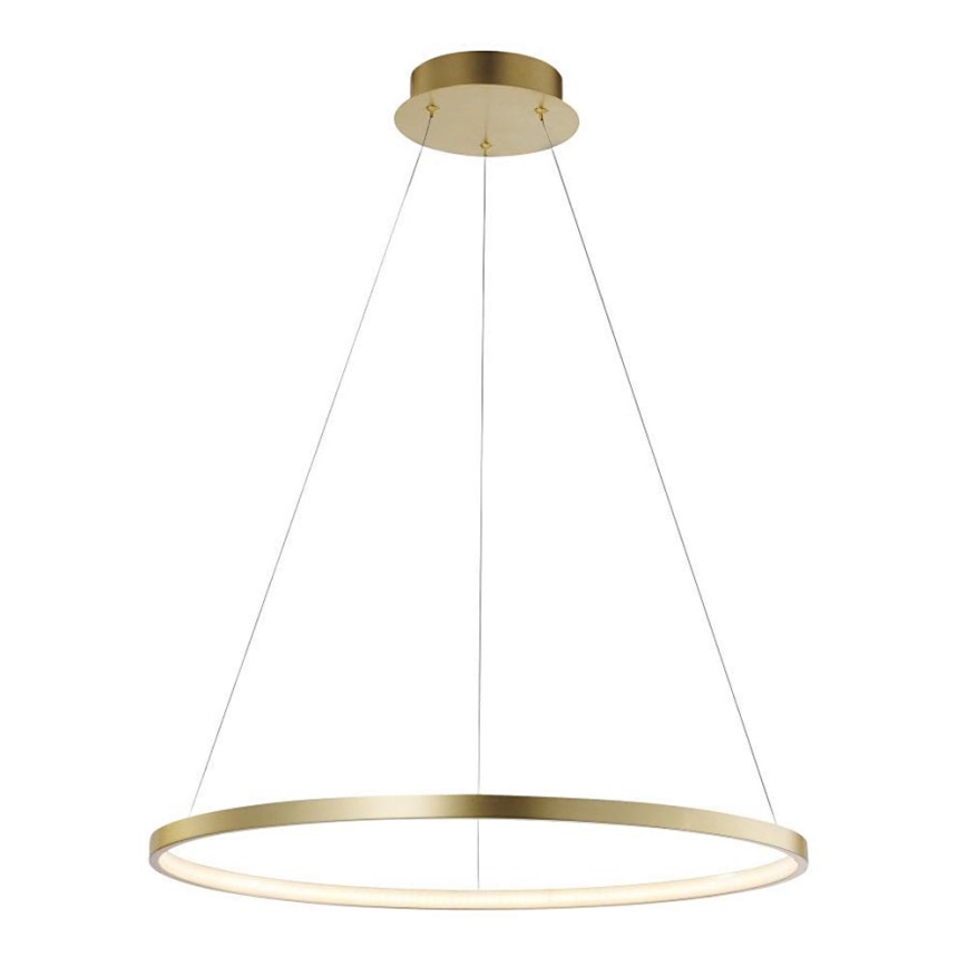 Leuchten Direkt 11524-12 - LED Chandelier on a string CIRCLE LED/28,5W/230V