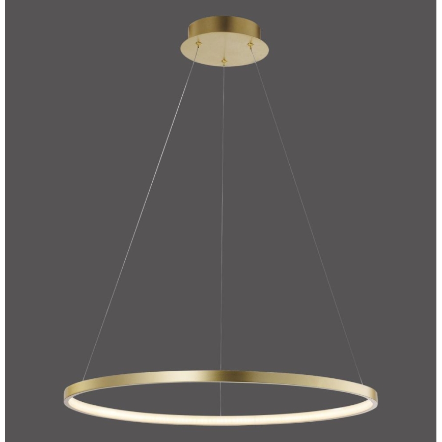Leuchten Direkt 11524-12 - LED Chandelier on a string CIRCLE LED/28,5W/230V