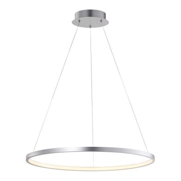 Leuchten Direkt 11524-21 - LED Chandelier on a string CIRCLE LED/28,5W/230V
