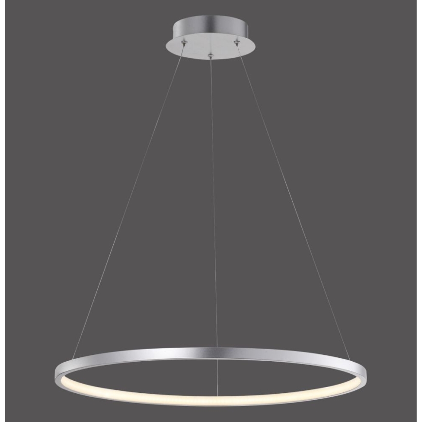 Leuchten Direkt 11524-21 - LED Chandelier on a string CIRCLE LED/28,5W/230V