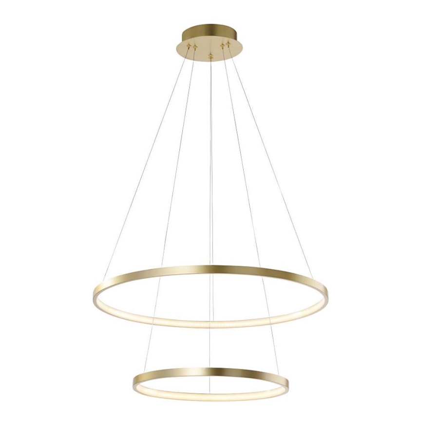 Leuchten Direkt 11525-12 - LED Chandelier on a string CIRCLE 1xLED/18,5W/230V + LED/23,5W
