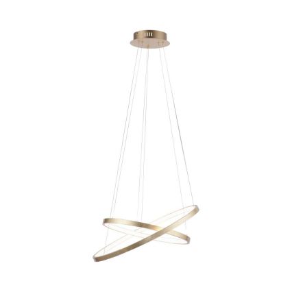 Leuchten Direkt 11525-12 - LED Chandelier on a string CIRCLE 1xLED/18,5W/230V + LED/23,5W