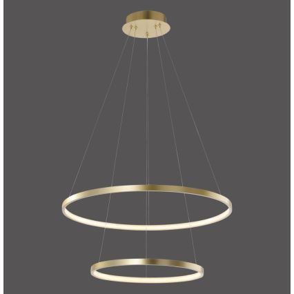 Leuchten Direkt 11525-12 - LED Chandelier on a string CIRCLE 1xLED/18,5W/230V + LED/23,5W