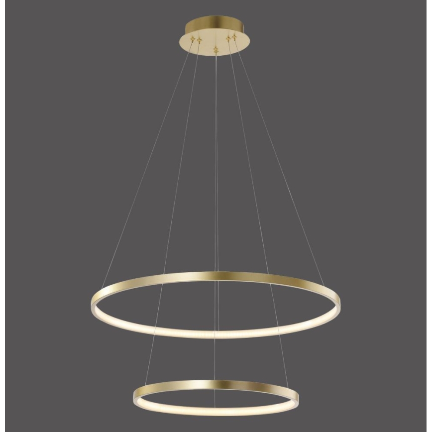 Leuchten Direkt 11525-12 - LED Chandelier on a string CIRCLE 1xLED/18,5W/230V + LED/23,5W
