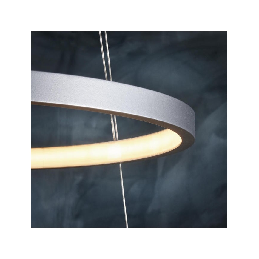 Leuchten Direkt 11525-21 - LED chandelier on a string CIRCLE 1xLED/15W/230V + LED/25W