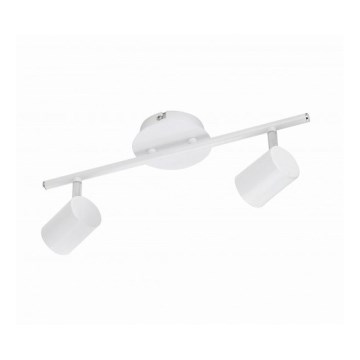 Leuchten Direkt 11942-16 - LED Spotlight TARIK 2xGU10/5W/230V white