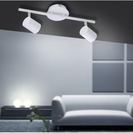 Leuchten Direkt 11942-16 - LED Spotlight TARIK 2xGU10/5W/230V white