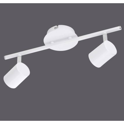 Leuchten Direkt 11942-16 - LED Spotlight TARIK 2xGU10/5W/230V white