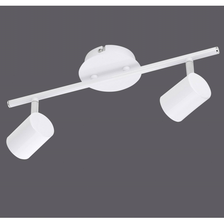 Leuchten Direkt 11942-16 - LED Spotlight TARIK 2xGU10/5W/230V white