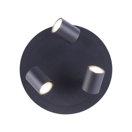 Leuchten Direkt 11943-13 - LED Spotlight TARIK 3xGU10/5W/230V anthracite