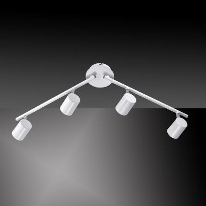 Leuchten Direkt 11944-16 - LED Spotlight TARIK 4xGU10/5W/230V white